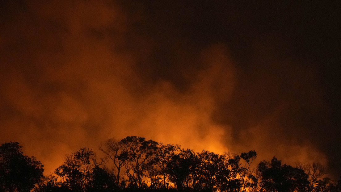 El humo de los incendios en la Amazonía llega a Argentina: advierten sobre riesgos para la salud