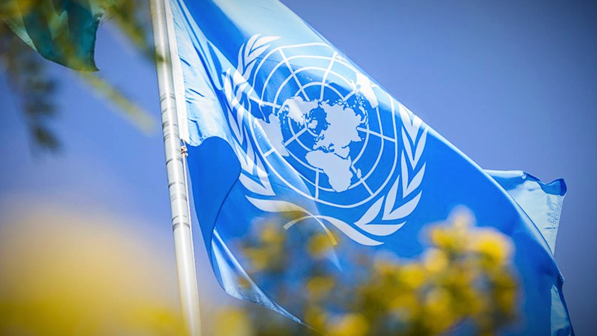 Más de 40 naciones pidieron a la ONU que interceda por cese de represión en Venezuela