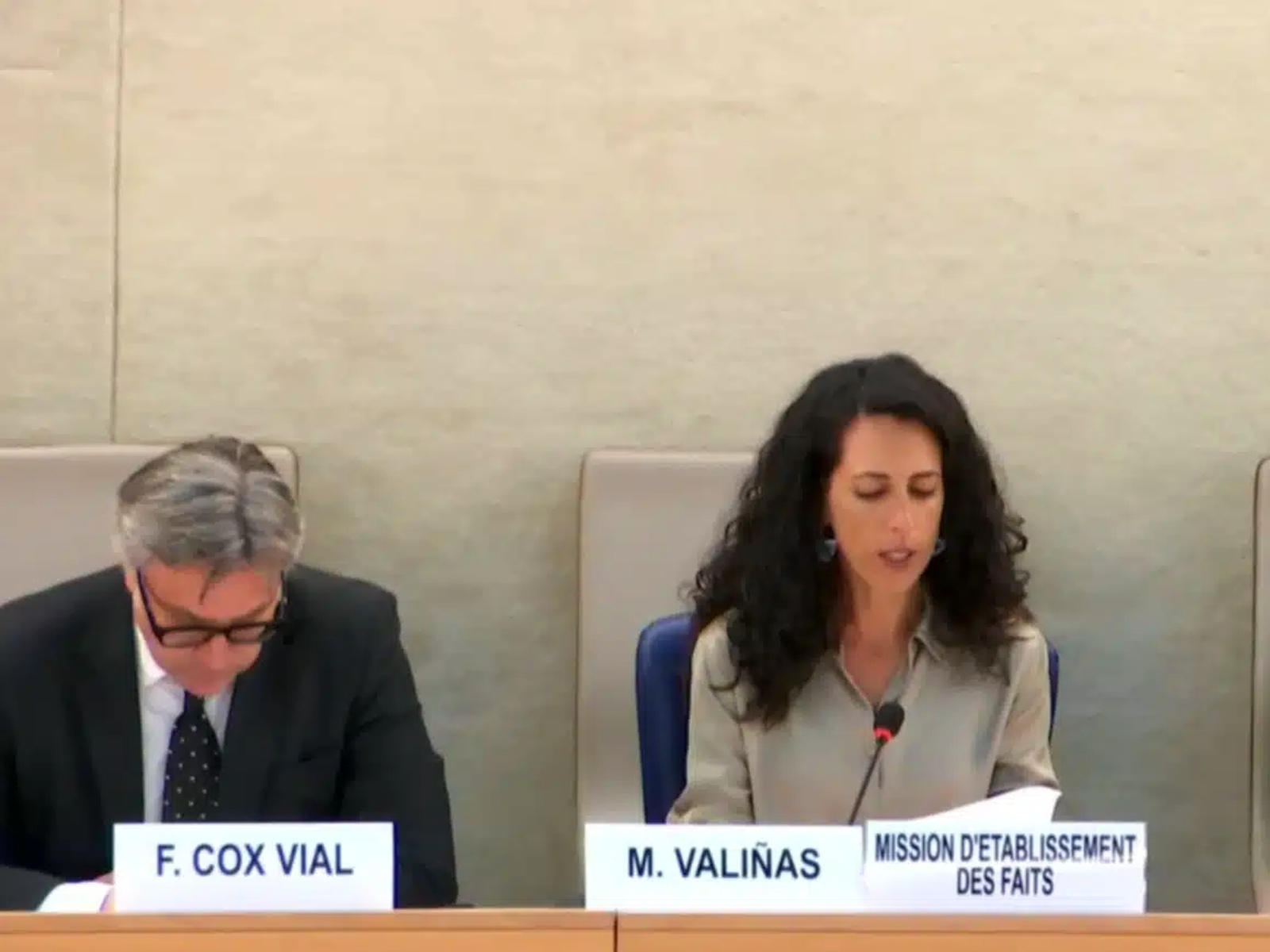 Misión de la ONU en el Consejo DDHH