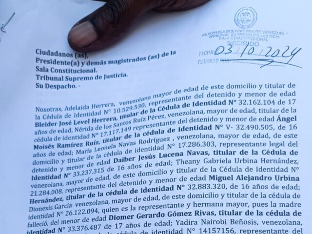 documento entregado TSJ