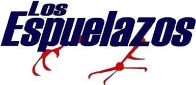 Noticias en Maracaibo - LOS ESPUELAZOS