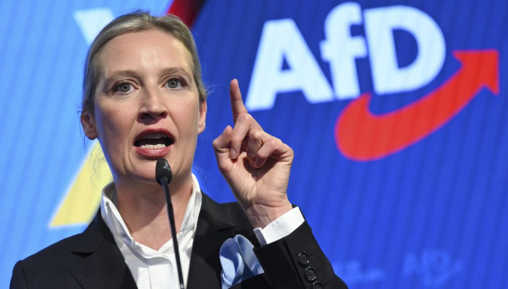 Evidente división este-oeste: la AfD se impone en el este de Alemania en las parlamentarias