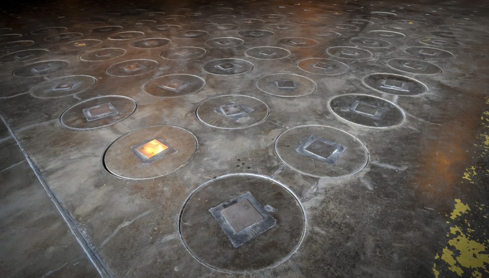 Hallan un panal de avispas radiactivo en una antigua planta de armas nucleares en EE.UU.